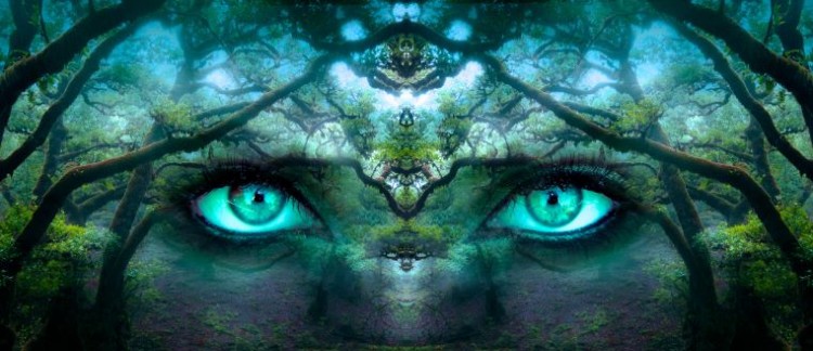 EYES OF THE FOREST