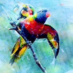 Malowana Papuga na Gałęzi