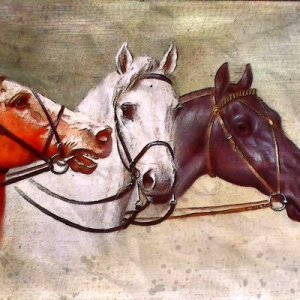 Portret trzech koni